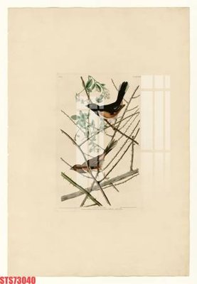 File gốc Tranh sơn dầu phương tây tổng hợp STS73040 (trang trí) phòng ngủ