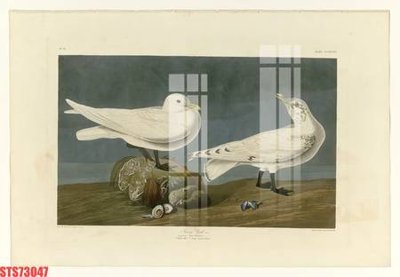 File tranh Tranh sơn dầu phương tây tổng hợp STS73047 (gốc) chủ đề trẻ em