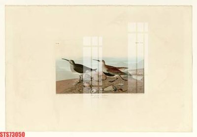 File gốc Tranh sơn dầu phương tây tổng hợp STS73050 (thiết kế) độc quyền