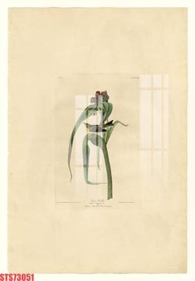 File gốc Tranh sơn dầu phương tây tổng hợp STS73051 (trang trí) cho phòng khách