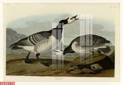 File gốc Tranh sơn dầu phương tây tổng hợp STS73057 (vector) cho in ấn