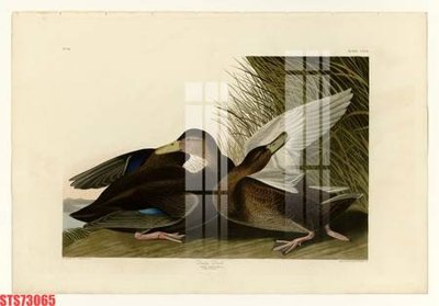 Tải file Tranh sơn dầu phương tây tổng hợp STS73065 (gốc) làm file in ấn