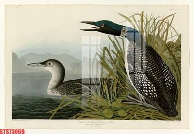 File gốc Tranh sơn dầu phương tây tổng hợp STS73069 (in ấn) không giới hạn