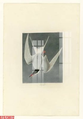 File PSD Tranh sơn dầu phương tây tổng hợp STS73072 (gốc) cho in quảng cáo