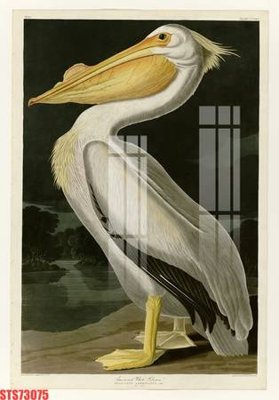 Download file Tranh sơn dầu phương tây tổng hợp STS73075 (chuẩn in) Tranh sơn dầu phương tây tổng hợp STS73075