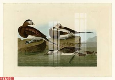 File gốc Tranh sơn dầu phương tây tổng hợp STS73076 (cho in ấn) từ kho Filetranh