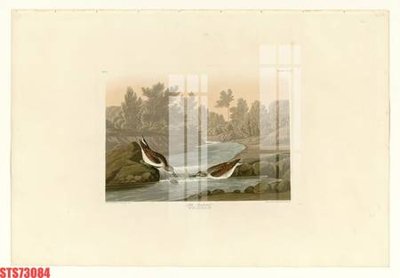 Tải file gốc Tranh sơn dầu phương tây tổng hợp STS73084 (bản PSD) còn layer