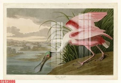 Tải file Tranh sơn dầu phương tây tổng hợp STS73086 (gốc) in nhanh