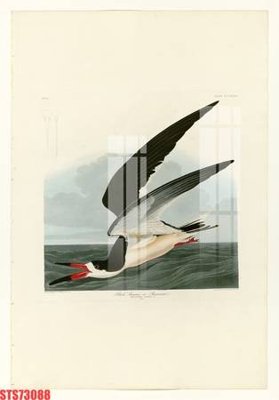 File gốc Tranh sơn dầu phương tây tổng hợp STS73088 (ảnh chi tiết) để in ấn