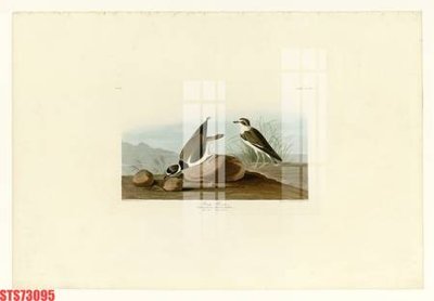 File gốc Tranh sơn dầu phương tây tổng hợp STS73095 (chuẩn màu) cho in offset