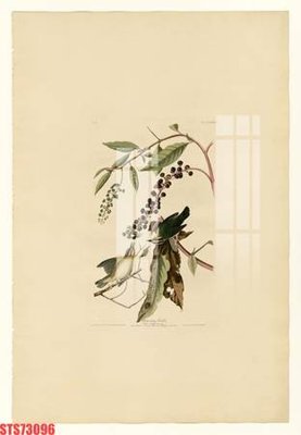 File tranh Tranh sơn dầu phương tây tổng hợp STS73096 (gốc) chủ đề thiên nhiên