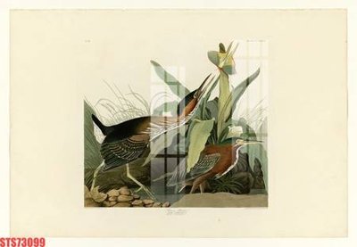 Tải file Tranh sơn dầu phương tây tổng hợp STS73099 (gốc) chủ đề tâm linh