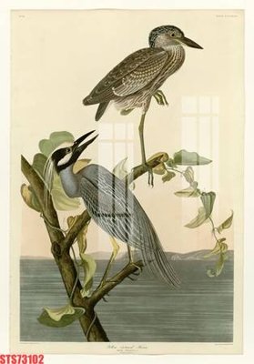 Hình ảnh file gốc Tranh sơn dầu phương tây tổng hợp STS73102 cho in UV