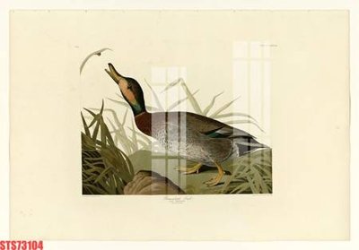 Mua file gốc Tranh sơn dầu phương tây tổng hợp STS73104 (chất lượng) tại Filetranh.com