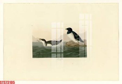 File tranh Tranh sơn dầu phương tây tổng hợp STS73105 (ảnh gốc) cho in ấn kỹ thuật số