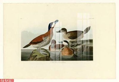 Tải file Tranh sơn dầu phương tây tổng hợp STS73110 (ảnh gốc) file TIFF