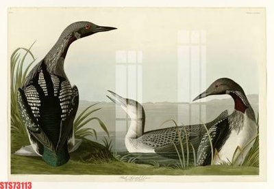 File PSD Tranh sơn dầu phương tây tổng hợp STS73113 (nguyên bản) cho thiết kế