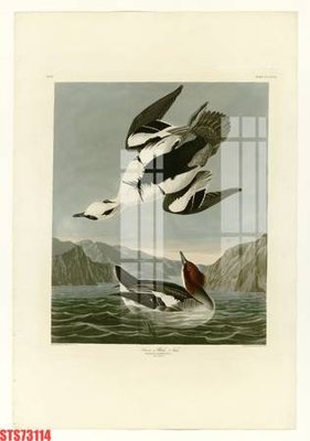 Download file gốc Tranh sơn dầu phương tây tổng hợp STS73114 (in mica) logo