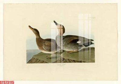 File gốc Tranh sơn dầu phương tây tổng hợp STS73115 (in lụa) chi tiết cao