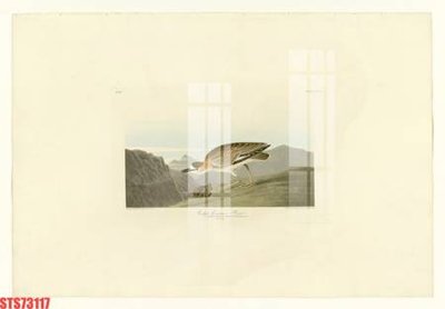 Hình ảnh file gốc in trần nhà Tranh sơn dầu phương tây tổng hợp STS73117