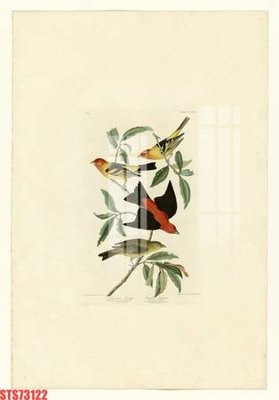 File in lụa Tranh sơn dầu phương tây tổng hợp STS73122 (hoa văn) Tranh sơn dầu phương tây tổng hợp STS73122