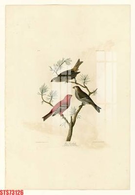 File gốc Tranh sơn dầu phương tây tổng hợp STS73126 (ảnh chi tiết) để in ấn