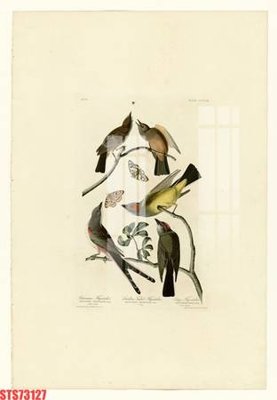 File gốc Tranh sơn dầu phương tây tổng hợp STS73127 (in mica) cắt laser