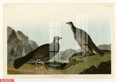 File gốc Tranh sơn dầu phương tây tổng hợp STS73130 (chuẩn màu) cho in offset