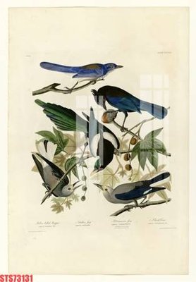 File ảnh Tranh sơn dầu phương tây tổng hợp STS73131 (gốc) in Hiflex