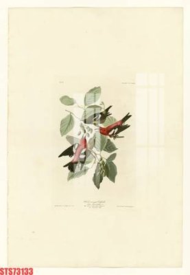 File gốc Tranh sơn dầu phương tây tổng hợp STS73133 (in lụa) hoa văn cổ điển