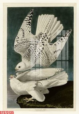 Tải file gốc Tranh sơn dầu phương tây tổng hợp STS73135 (in không vỡ ảnh)