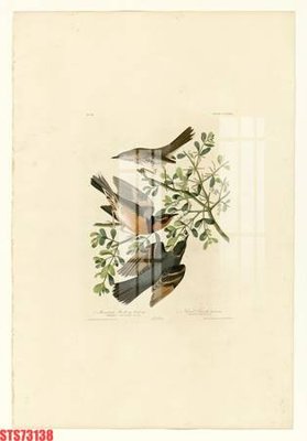 Tải file Tranh sơn dầu phương tây tổng hợp STS73138 (gốc) để in ấn ngay