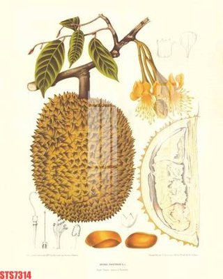 File in ấn chuyên nghiệp Tranh sơn dầu phương tây tổng hợp STS7314 (file gốc)