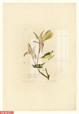 File gốc in ấn Tranh sơn dầu phương tây tổng hợp STS73140 chuẩn màu CMYK