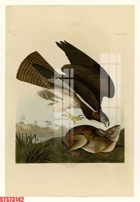 Tệp tin gốc Tranh sơn dầu phương tây tổng hợp STS73142 (dùng cho in) Tranh sơn dầu phương tây tổng hợp STS73142