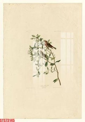 Download file Tranh sơn dầu phương tây tổng hợp STS73145 (gốc) in mica ốp bếp