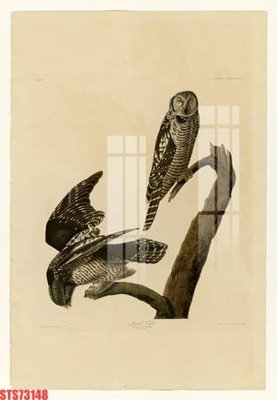 File tranh ảnh gốc Tranh sơn dầu phương tây tổng hợp STS73148 dùng cho in khổ lớn