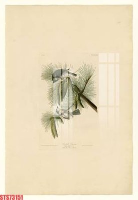 File gốc Tranh sơn dầu phương tây tổng hợp STS73151 (PNG) trong suốt (transparent)