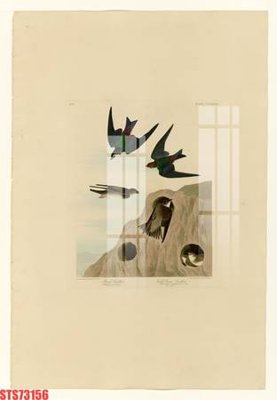 File tranh Tranh sơn dầu phương tây tổng hợp STS73156 (gốc) in film