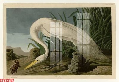 Mua file gốc Tranh sơn dầu phương tây tổng hợp STS73157 (in ấn) tại Filetranh.com