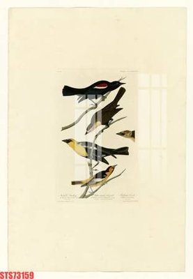 File gốc Tranh sơn dầu phương tây tổng hợp STS73159 (in lụa) họa tiết 3D