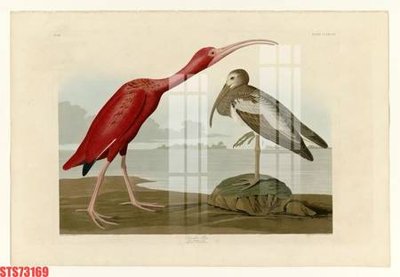 Tải file Tranh sơn dầu phương tây tổng hợp STS73169 (gốc) làm file thiết kế