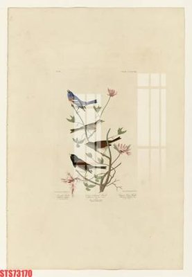 Mua file ảnh gốc Tranh sơn dầu phương tây tổng hợp STS73170 (chất lượng cao)