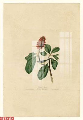 File tranh Tranh sơn dầu phương tây tổng hợp STS73173 (gốc) in trên kính