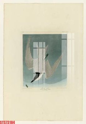 File tranh Tranh sơn dầu phương tây tổng hợp STS73184 (gốc) in vải canvas