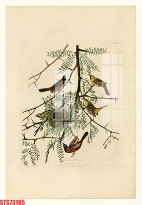 Tải file Tranh sơn dầu phương tây tổng hợp STS73185 (ảnh gốc) in tranh kính