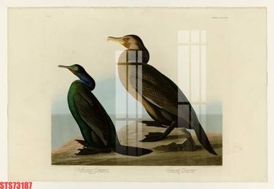 Download file gốc Tranh sơn dầu phương tây tổng hợp STS73187 (in mica) trang trí