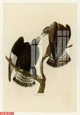 Tải file gốc Tranh sơn dầu phương tây tổng hợp STS73198 (bản PSD) gốc