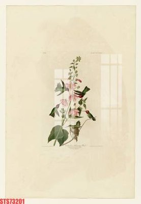 File gốc Tranh sơn dầu phương tây tổng hợp STS73201 (in mica) làm quà tặng