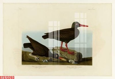 Download file gốc Tranh sơn dầu phương tây tổng hợp STS73203 (in mica) 3D